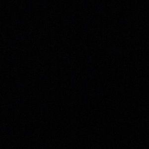 Meet your Posher, Trevor